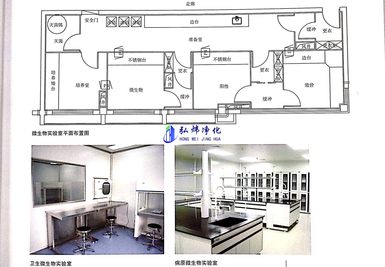 微生物實驗室